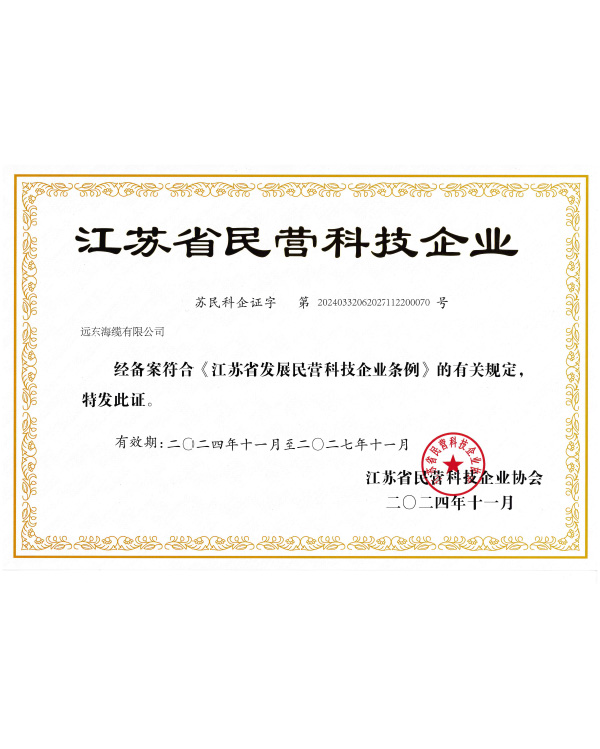 江苏省民营科技企业证书