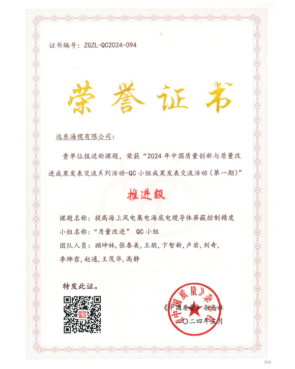 “2024年中国质量创新与质量改进成果发表交流系列活动-QC小组成果发表交流活动(第一期)”推进级